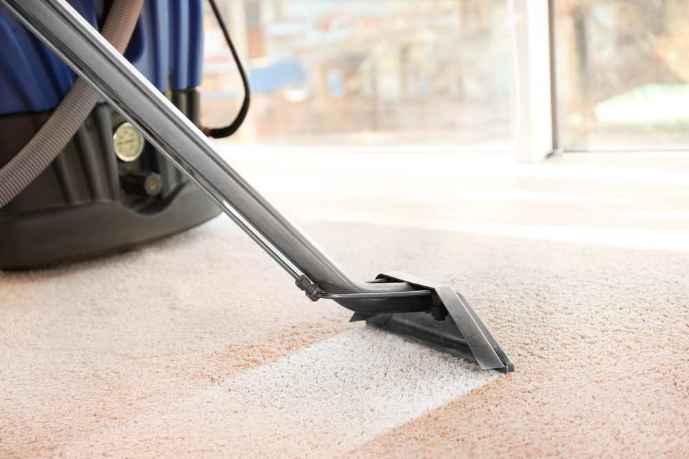 Closeup of a vacuum performing commercial carpet cleaning.