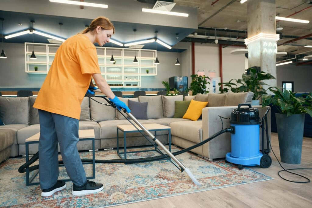 tampa carpet cleaning demo